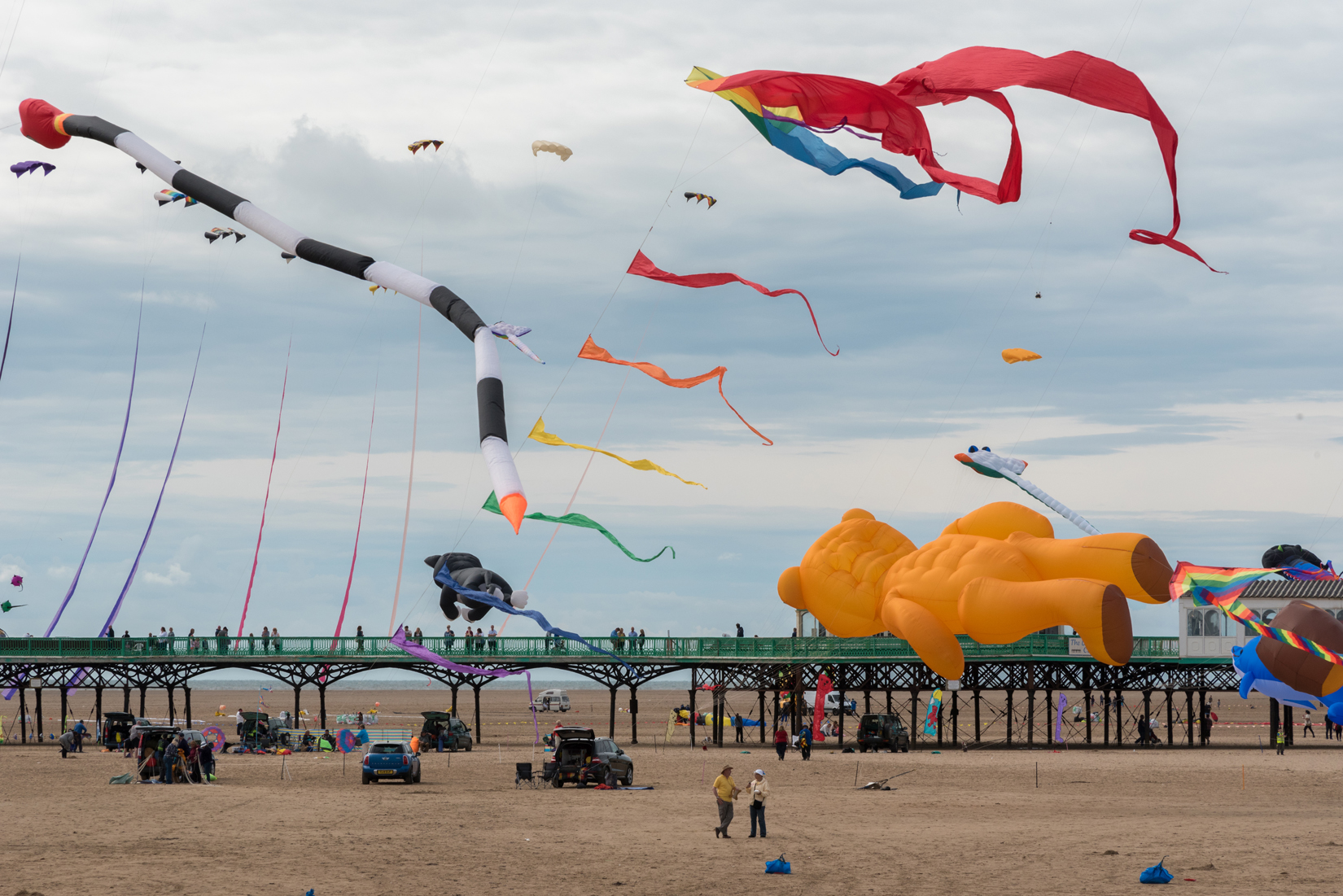 Some of the collection of kites in flight.